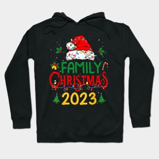 Matching family 2025 christmas hoodies